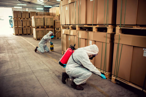 Best Pest Inspection Near Me  in Willoughby, OH