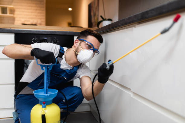 Best Residential Pest Control  in Willoughby, OH