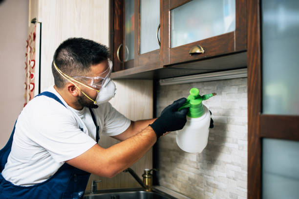 Best Affordable Pest Control Services  in Willoughby, OH