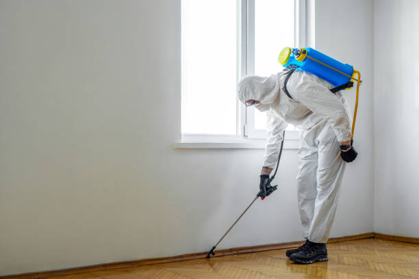 Best Best Pest Control Companies  in Willoughby, OH