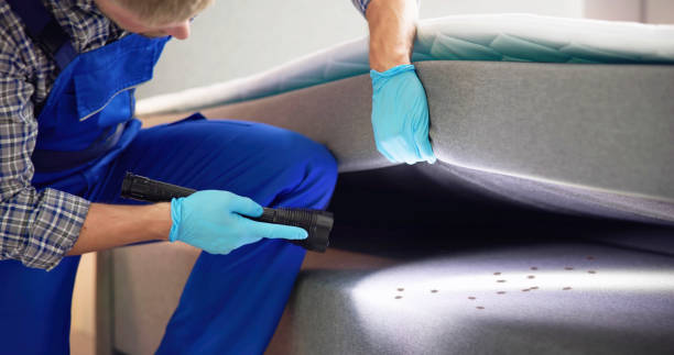 Best Ant Control Services  in Willoughby, OH