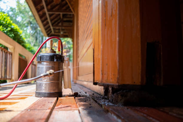 Best Affordable Pest Control Services  in Willoughby, OH