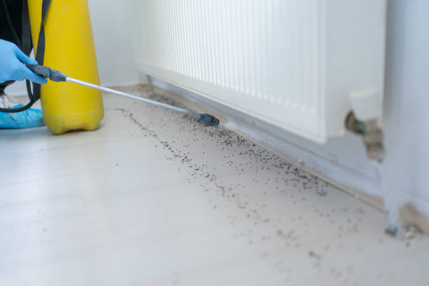 Best Emergency Pest Control  in Willoughby, OH