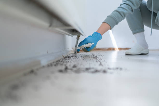 Best Best Pest Control Companies  in Willoughby, OH